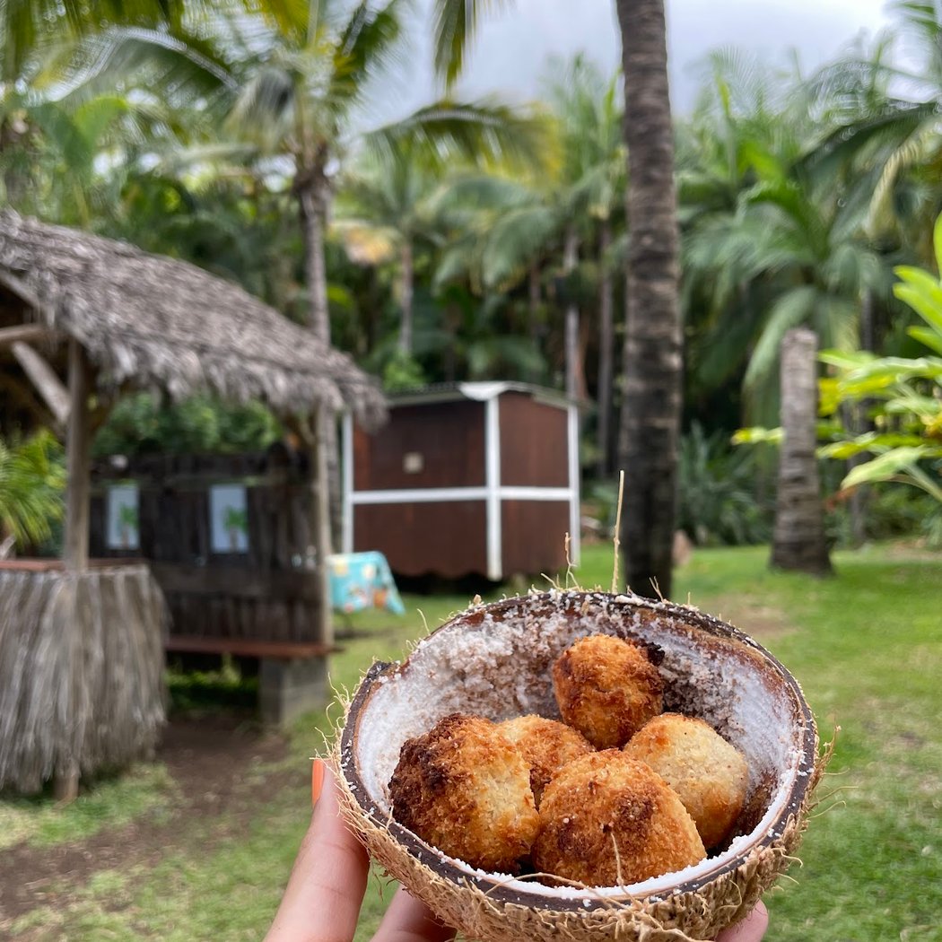 La Maison du coco 1
